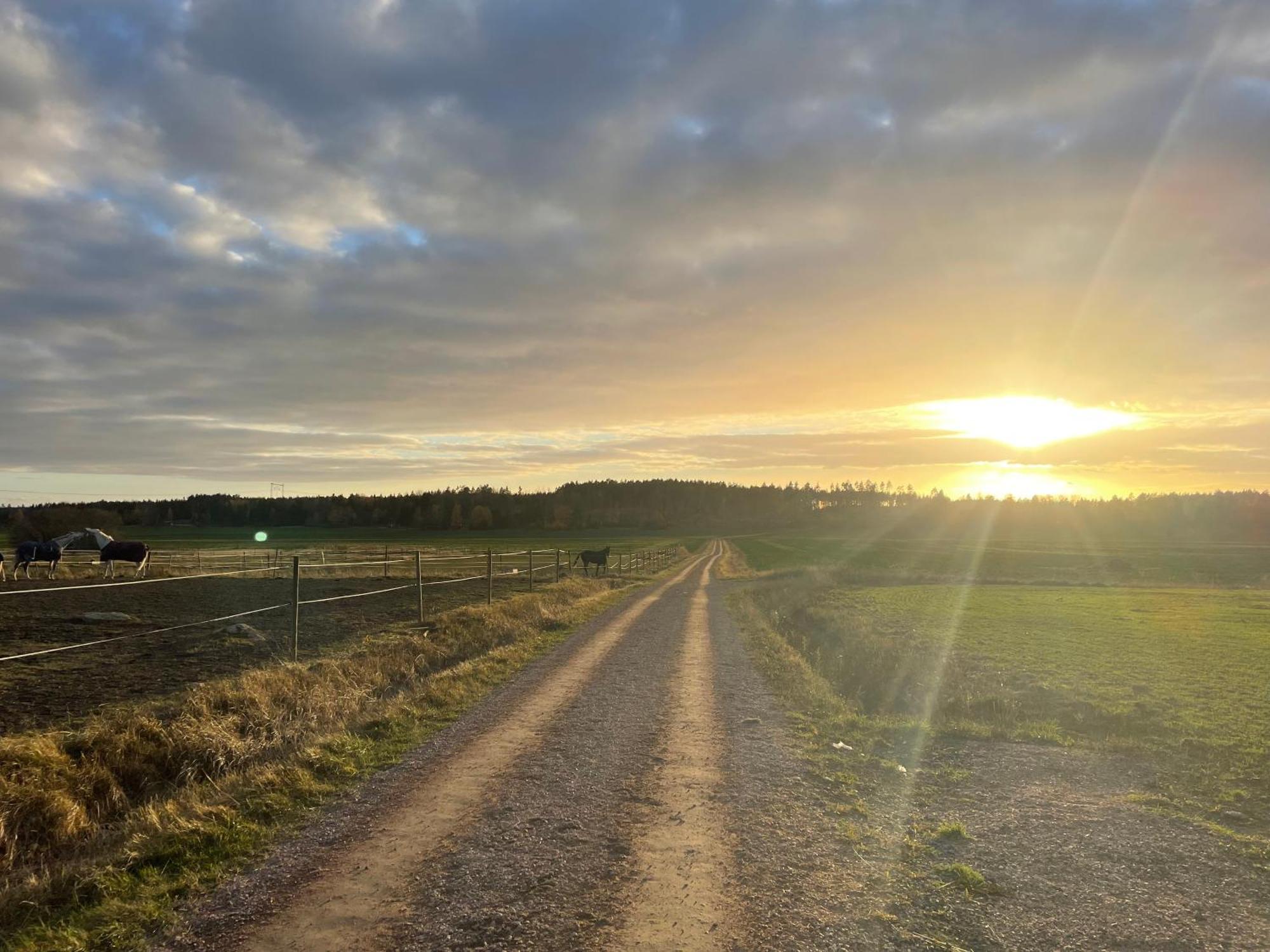 Baersta Bagarstugan Bnb Kolbäck Exteriör bild